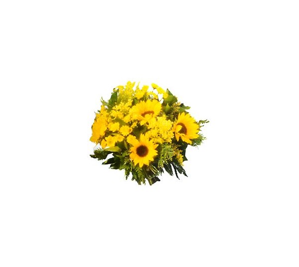해바라기-네덜란드 [ 01-dutch_sunflower ]